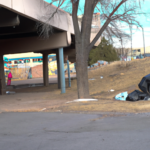 What is the homeless population in Billings Montana?