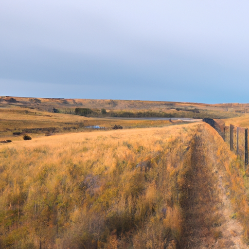 Is Montana still rural?